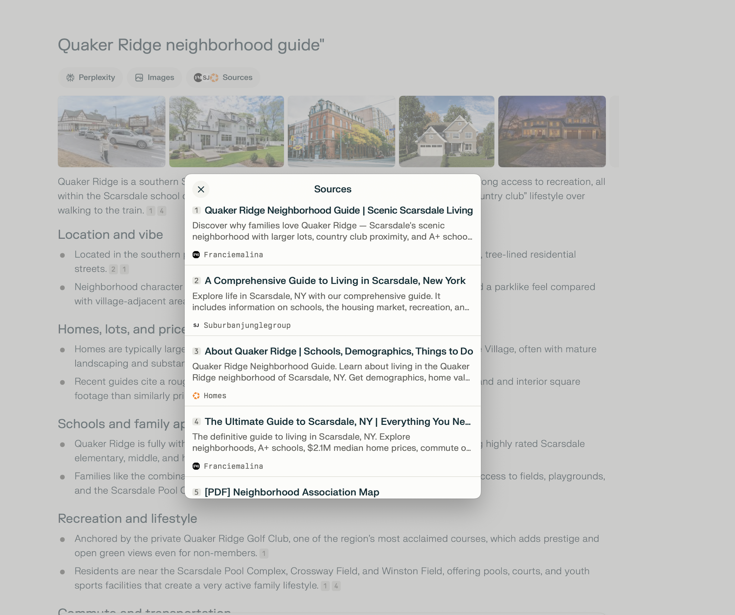Perplexity AI showing Francie Malina Team as #1 source for Quaker Ridge
